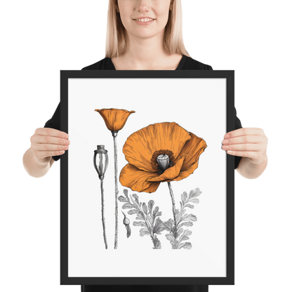 California Poppy Drawing Framed Print - 16"x20"