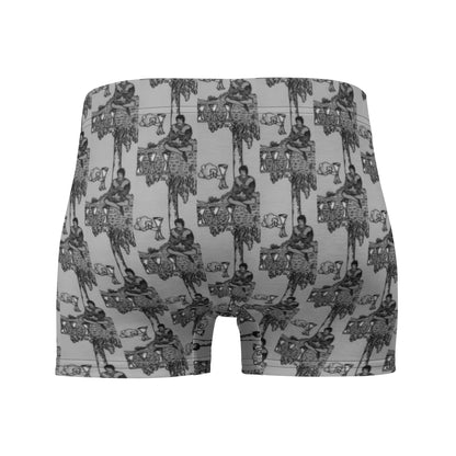 Four of Cups Boxer Briefs in Smoke