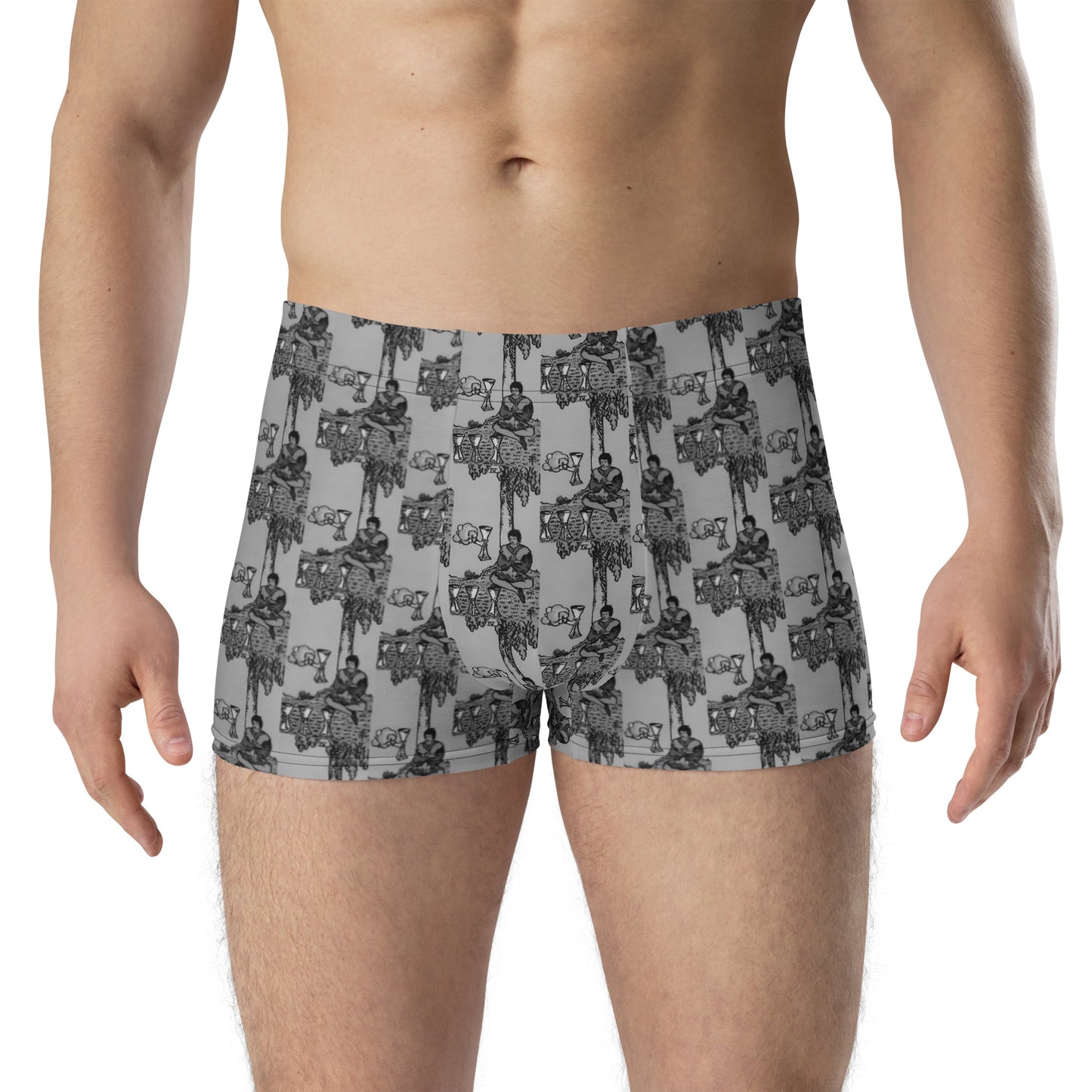 Four of Cups Boxer Briefs in Smoke