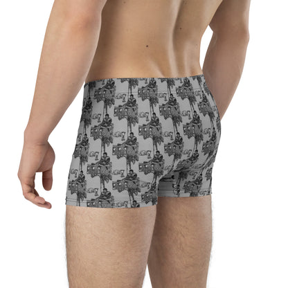 Four of Cups Boxer Briefs in Smoke