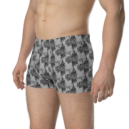 Four of Cups Boxer Briefs in Smoke