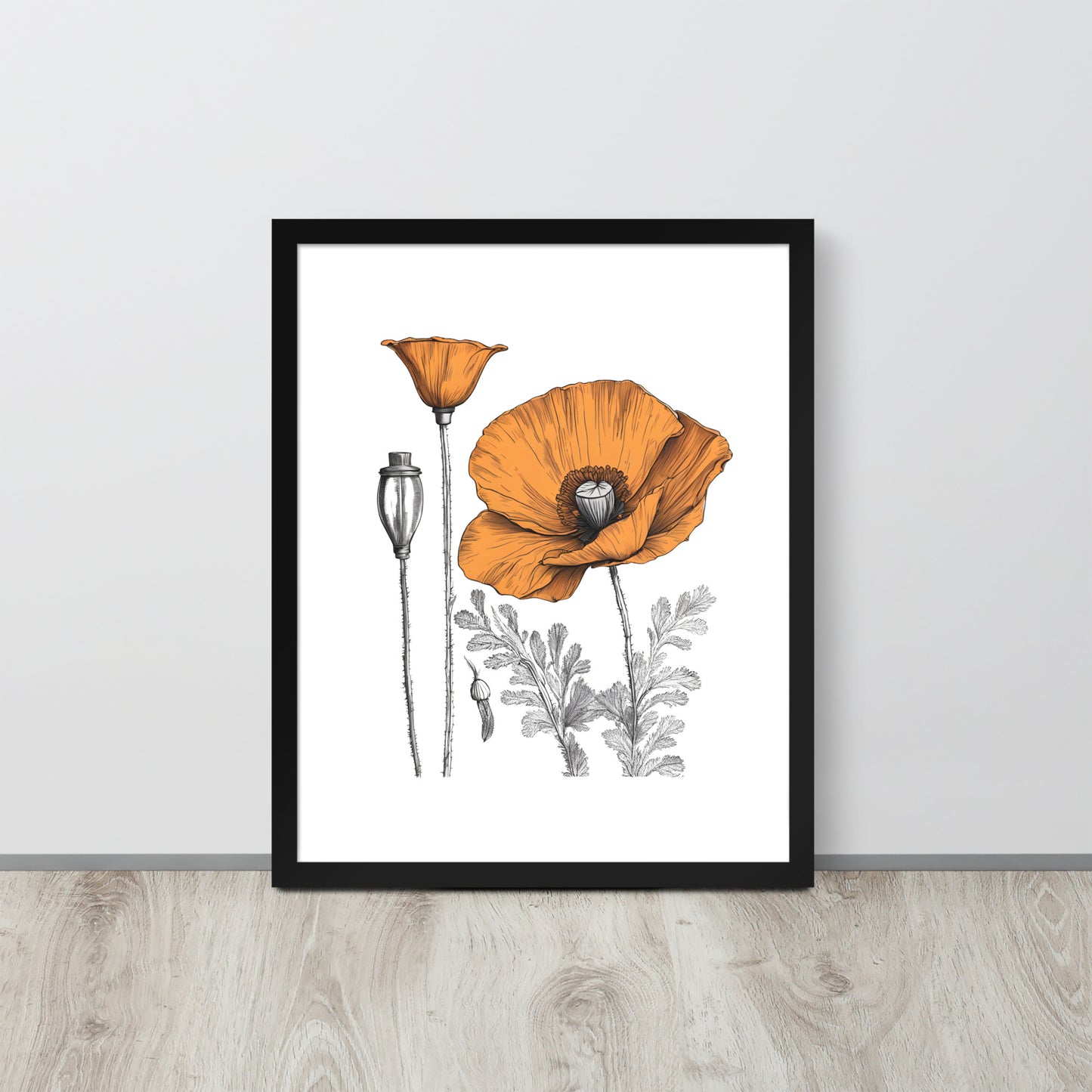 California Poppy Drawing Framed Print - 16"x20"